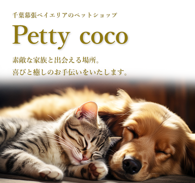千葉幕張ベイエリアのペットショップ Petty coco